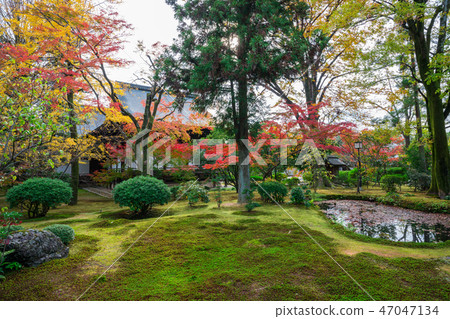 Autumn leaves of Kyoto Koryu-ji Temple 47047134