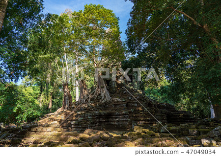 [World Heritage] Angkor Archaeological Site Angkor Thom Prea Palilai 47049034