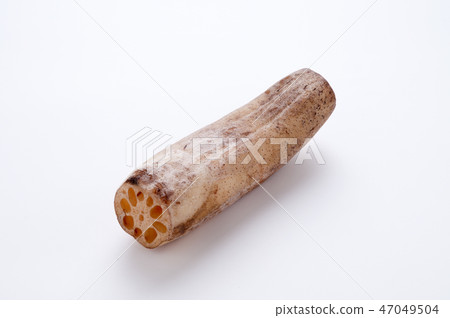 Wankom Wankom 47049504