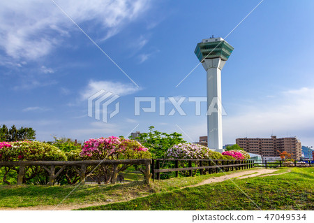 Honbori and Goryokaku Tower 47049534