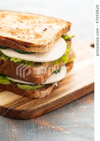 Healthy Homemade Vegetarian Veggie Sandwich with Lettuce. cucumber, avocado, Cheese. Copy space. Healthy Homemade Vegetarian Veggie Sandwich with Lettuce. cucumber, avocado, Cheese. Copy space. 47050626