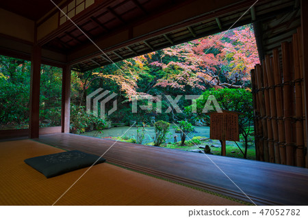 Autumn leaves of Kyoto Chorakuji Autumn leaves of Kyoto Chorakuji 47052782