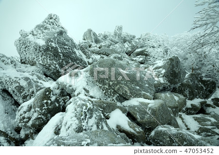 冰凍岩石（拍攝地點：Yatsugatake，Kuro Yuridaira） 47053452