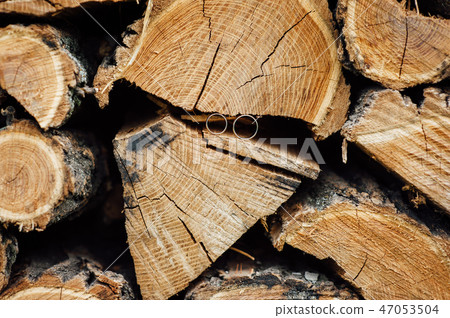 Wooden natural cut logs textured background with wedding rings, side view Wooden natural cut logs textured background with wedding rings, side view 47053504
