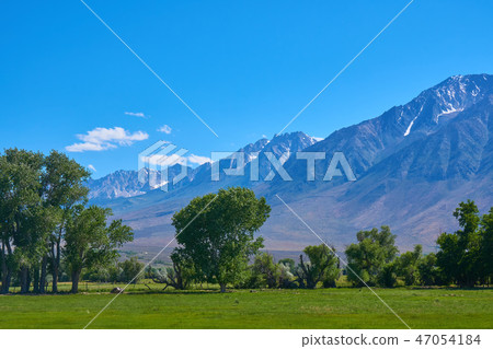 Sierra Nevada Mountains 47054184