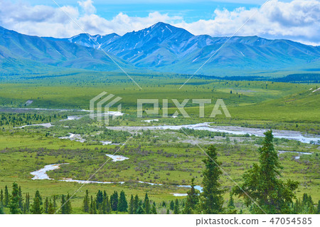 德納利國家公園和自然保護區 47054585