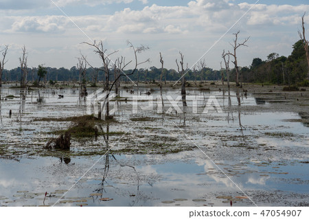 [World Heritage] Angkor Archaeological Site Wetland of Nyac Poan 47054907
