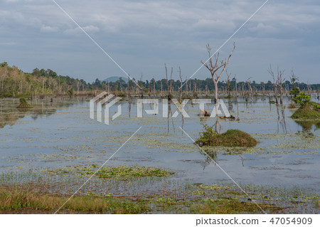 [World Heritage] Angkor Archaeological Site Wetland of Nyac Poan 47054909