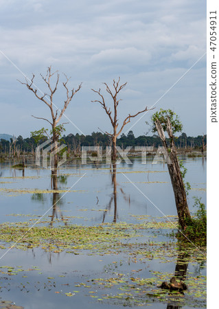 [World Heritage] Angkor Archaeological Site Wetland of Nyac Poan 47054911