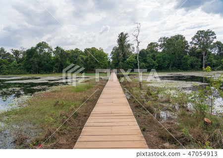 [World Heritage] Angkor Archaeological Site Wetland of Nyac Poan 47054913