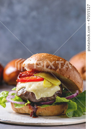 Homemade burgers variety Homemade burgers variety 47055527