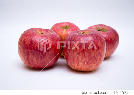 Apple  47055794