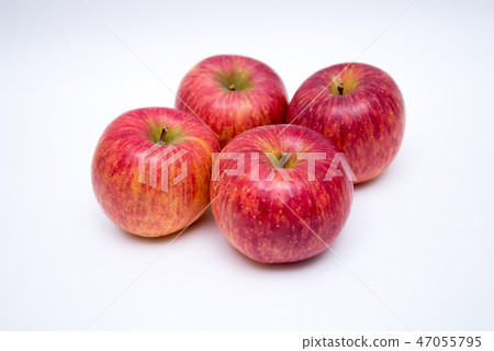 Apple  47055795