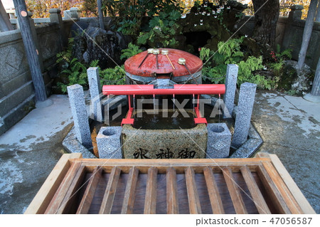 Your fishes 47056587