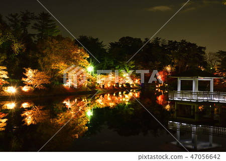 <Autumn leaves> Okazaki East Park December Momiji Pond <Autumn leaves> Okazaki East Park December Momiji Pond 47056642