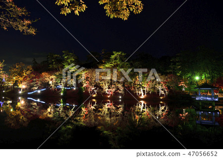 <秋葉>岡崎東園十二月紅葉池 <秋葉>岡崎東園十二月紅葉池 47056652