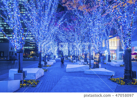 [Yokohama Grand Mall Park Illumina] 47058097