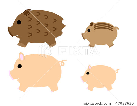 Boar and pig Boar and pig 47058639