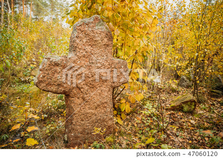 Babtsy, Vitebsk Region, Belarus. Stone Cross In Forest. Babtsy, Vitebsk Region, Belarus. Stone Cross In Forest. 47060120