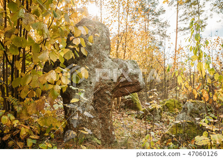 Babtsy, Vitebsk Region, Belarus. Stone Cross In Forest. Babtsy, Vitebsk Region, Belarus. Stone Cross In Forest. 47060126