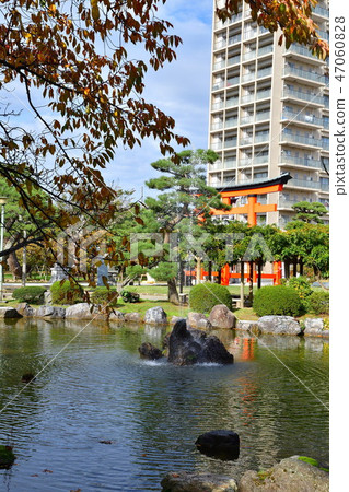 白山神社的秋葉（新潟縣） 47060828