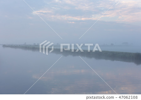 A foggy morning on the Dutch Kagerplassen 47062108