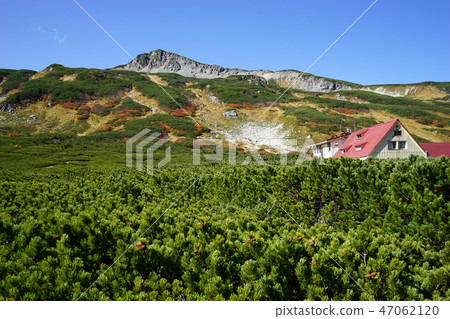 Northern Alps Mitaka Sanso and Mitaka Renkadake 47062120