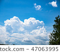 Developing summer cumulus 47063995