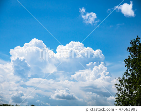 Developing summer cumulus 47063995
