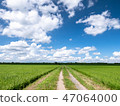 Farm road and summer clouds 47064000