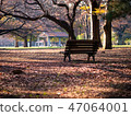 Winter park and bench 47064001