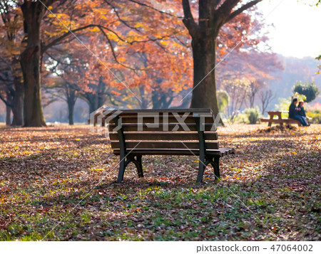 People relaxing in the winter park People relaxing in the winter park 47064002