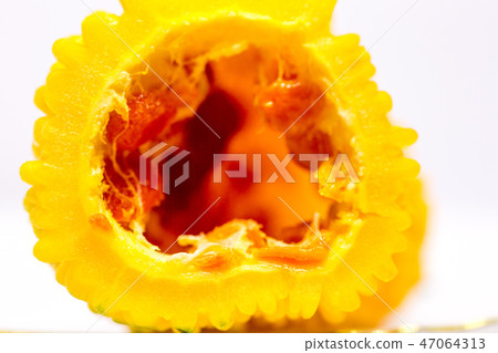 宏觀成熟苦澀圓形切片橫斷面 47064313