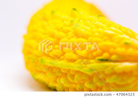 Macro ripe bitter gourd round slice cross section 47064323