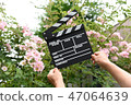 A hand with clapperboard 47064639