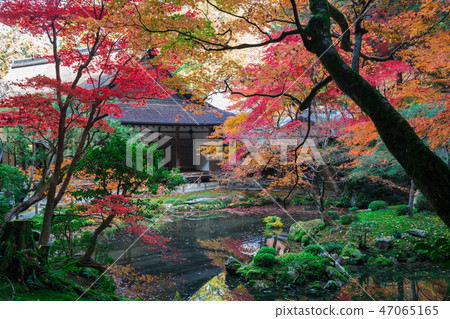京都南禪寺南禪的秋葉 47065165