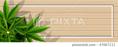 Marijuana plant and cannabis on wood floor vector. Marijuana plant and cannabis on wood floor vector. 47067111