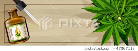 Marijuana plant and cannabis on wood floor vector. Marijuana plant and cannabis on wood floor vector. 47067112