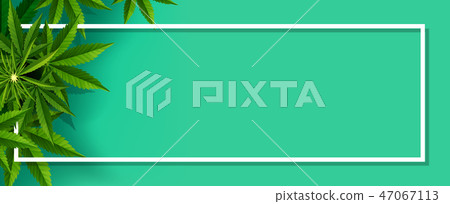 Marijuana plant and cannabis on green backgrounds. Marijuana plant and cannabis on green backgrounds. 47067113