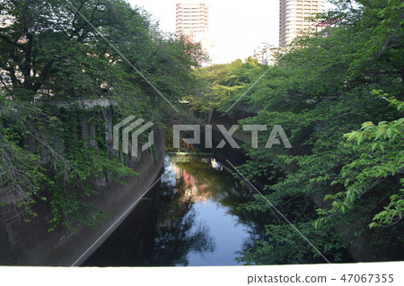 神田河 神田河 47067355