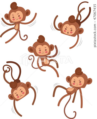 Animal (SM) 03 47067435