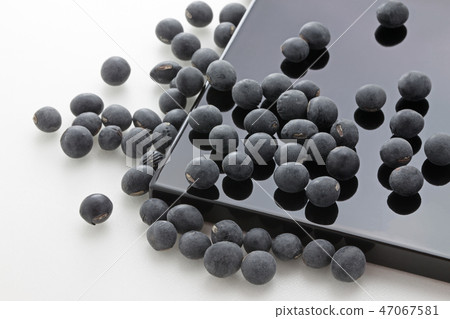 Black soybean 47067581