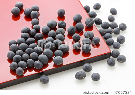 Black soybean Black soybean 47067584