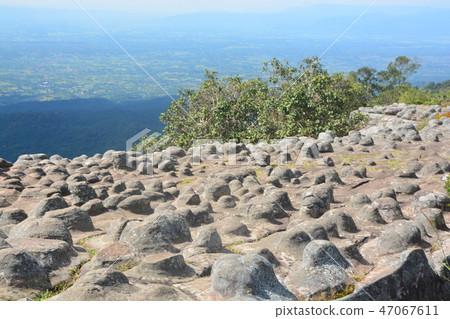 Lan Hin Pum Pum [Nodule Rock Field] 47067611