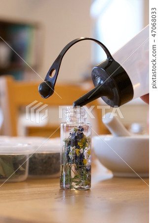 Herbarium 47068033