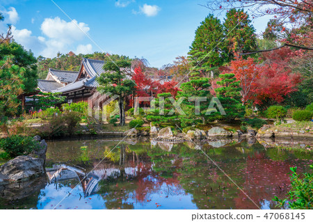 京都秋葉 京都秋葉 47068145