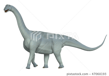 Dinosaurs: Camarasaurus 47068193