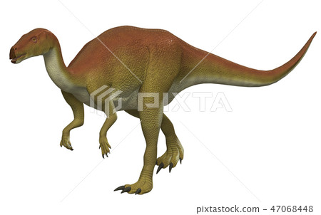 Dinosaur: Camptosaurus Dinosaur: Camptosaurus 47068448