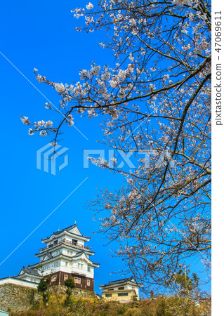 Hirado Castle and Sakura [Hirado City, Nagasaki Prefecture] 47069611