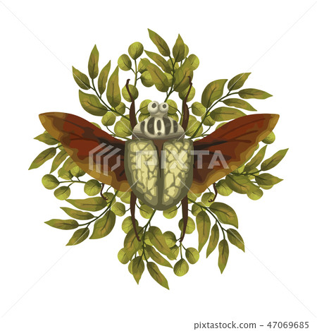 Beetle hercules. Insect with wings. 47069685